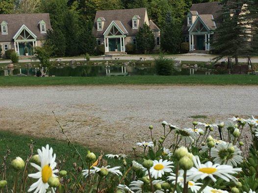 Spruce Hill Inn&Cottages Mansfield Exteriör bild