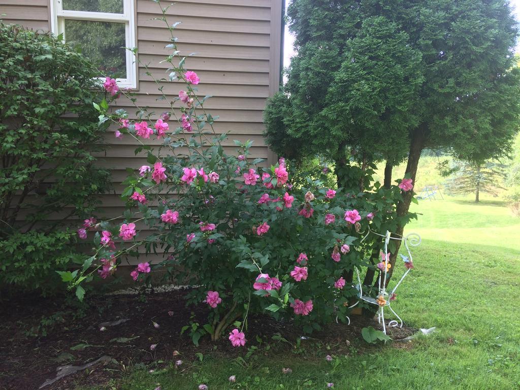 Spruce Hill Inn&Cottages Mansfield Exteriör bild