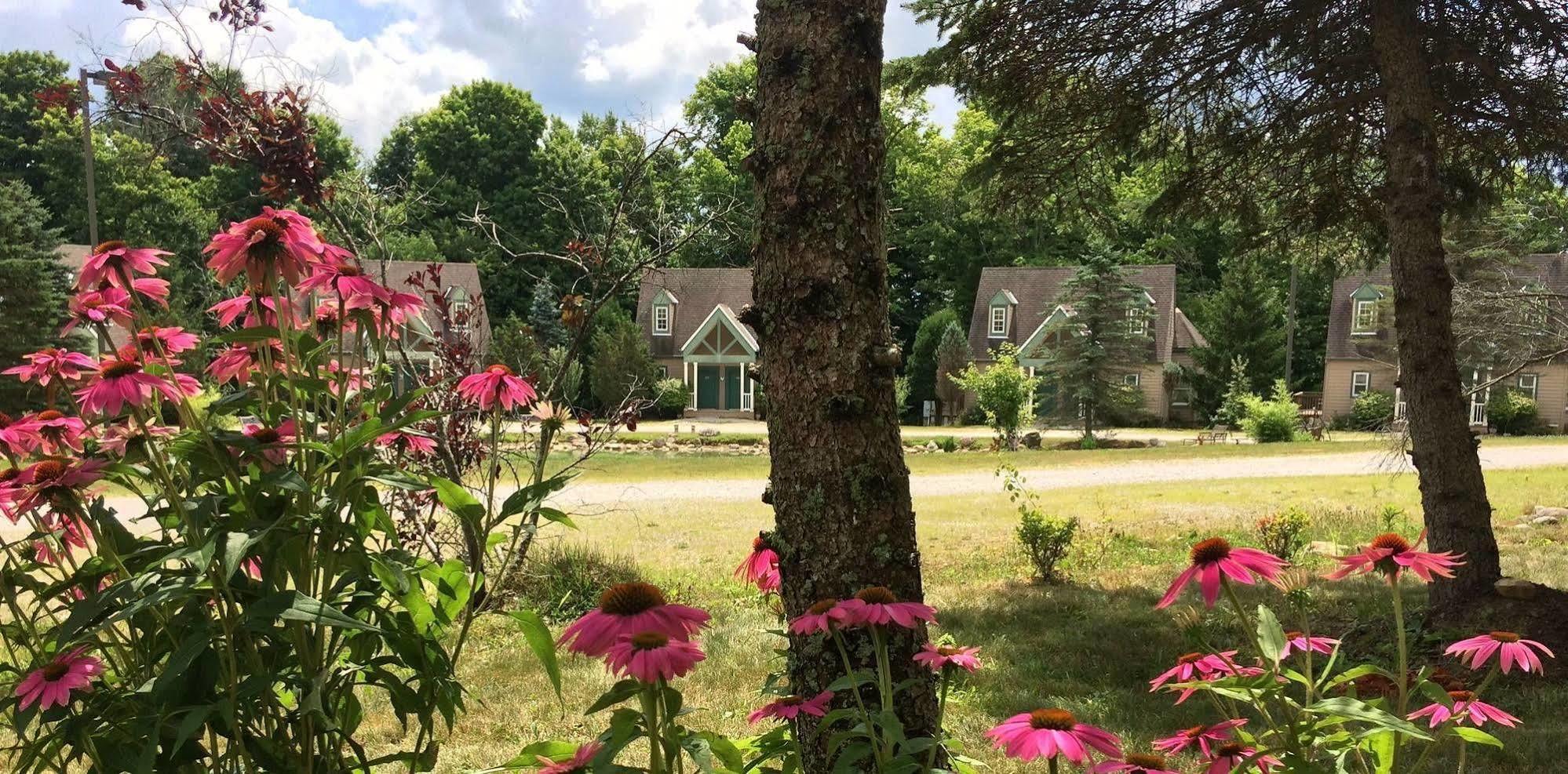 Spruce Hill Inn&Cottages Mansfield Exteriör bild